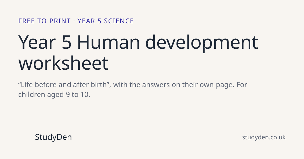 Year 5 Human development worksheet (free printable)